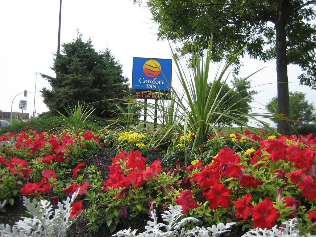 Comfort Inn South Winnipeg Exterior foto